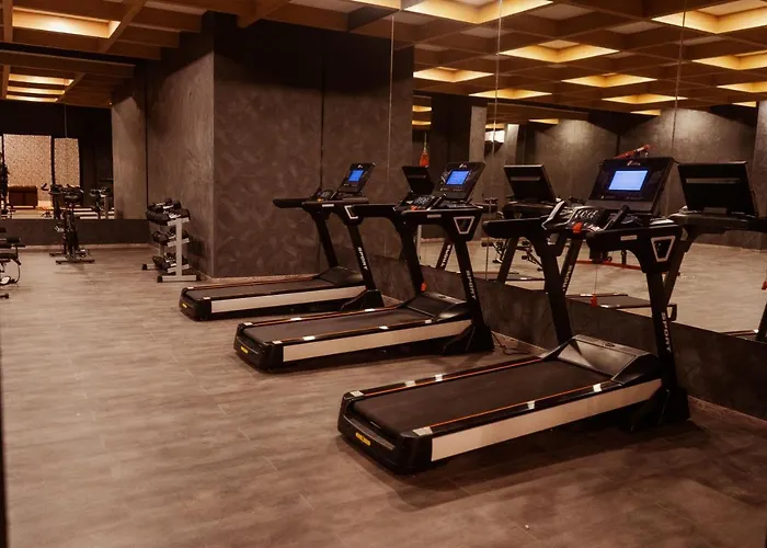 2br With Fast Wifi Free Bikes, Rooftop, Pool, And Gym